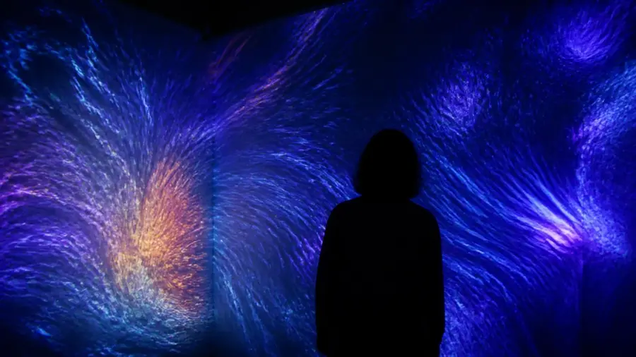 The immersive show: spectacle, art, or both