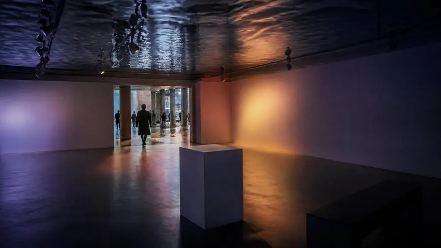 Palazzo Grassi, gallery in Venice